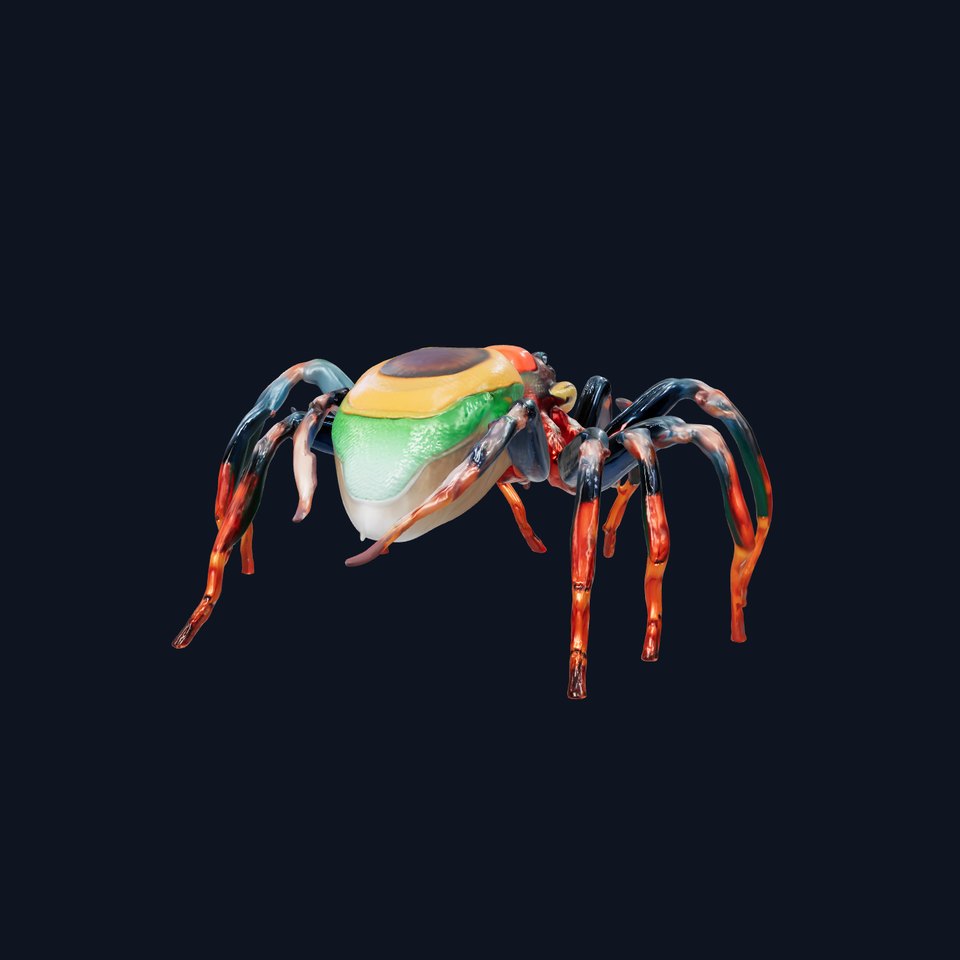 Vibrant Peacock Spider Detailed 3D Model Pack